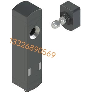 F41采用RFID技术电磁安全锁NS Pizzato G4AZ1SMK F41 D3AZ1SQK