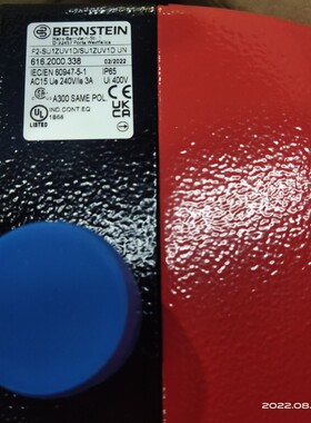 616.2000.338 F2-SU1ZUV1D/SU1ZUV1D UN bernstein脚踏开关