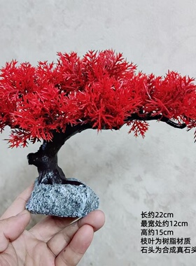 红叶崖柏迎客松造景摆件悬崖松树创意个性盆景鱼缸龟虾窝桌面装饰