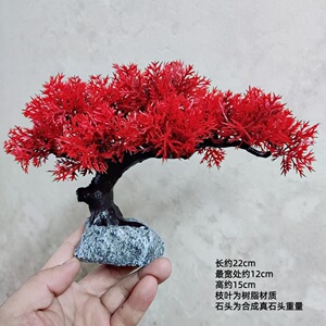 红叶崖柏迎客松造景摆件悬崖松树创意个性盆景鱼缸龟虾窝桌面装饰