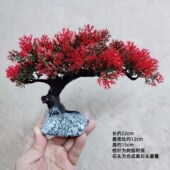 迎客松造景摆件悬崖飘枝红叶崖柏松树造型盆景鱼缸水族酒店装 饰品