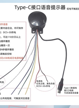 T57C型Type-C语音提示器喇叭MP3播报可调音量自定义USB-C警告定制