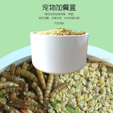 面包虫防逃 荷兰猪仓鼠芦丁鸡雪貂加餐盒 辅食盒 简易饲料喂食器