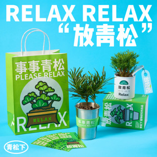 RELAX SOUL放青松雾松罗汉松盆栽创意绿植办公室公司礼品生日礼物
