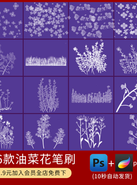 ps笔刷春天黄色油菜花海花卉花朵花簇花丛手绘插画procreate笔刷