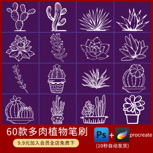 ps/procreate笔刷多肉植物笔刷仙人掌仙人球盆栽盆景园艺花艺素材