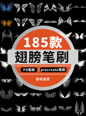 ps笔刷素材翅膀蝴蝶仙女精灵笔刷白色梦幻发光蜻蜓翅膀婚庆笔刷