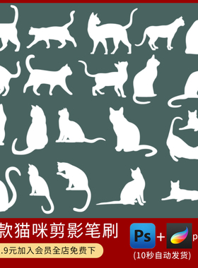 ps笔刷绘画可爱黑色小猫猫咪剪影动物插画装饰素材procreate笔刷