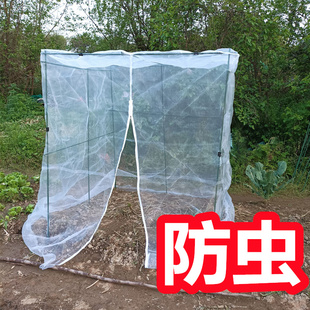 植物保护罩 防虫网纱网罩种菜防虫网罩 花盆保护罩花保护罩防鸟罩