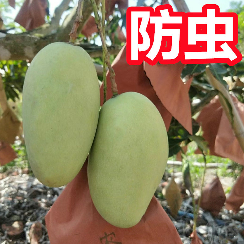 芒果套袋专用袋 芒果专用套袋包芒果袋子 芒果防虫袋保护芒果纸袋