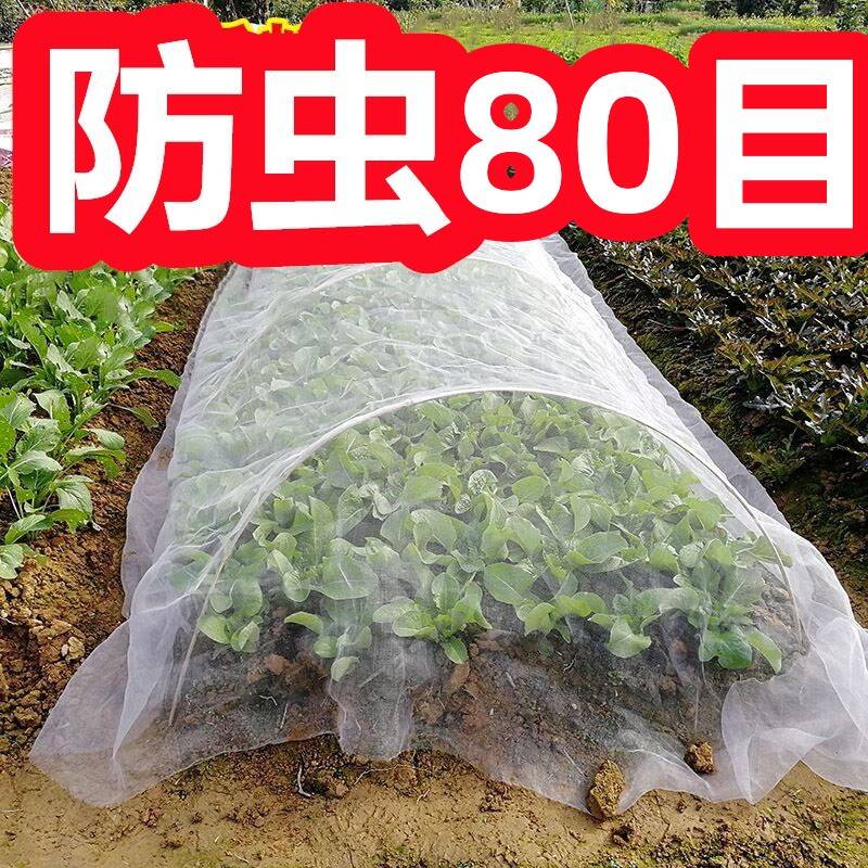 种菜防虫网种菜专用80目家庭院用