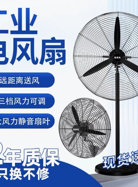 租用赁除甲醛工业电风扇落地扇大风力定时牛角扇强力商大功率工厂