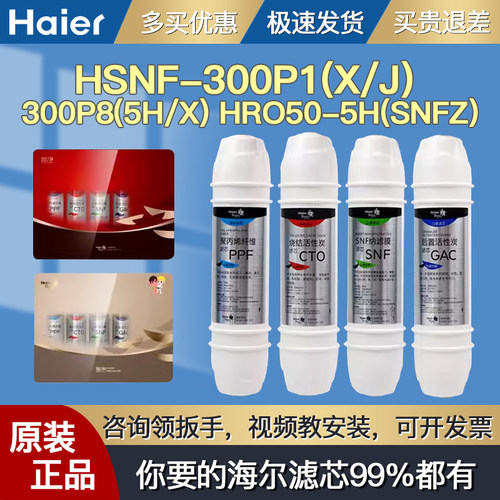 海尔施特劳斯滤芯HSNF-300P1/P8