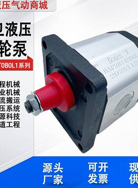 Boden博顿齿轮泵BAP2B16T0B0L1 BAP2B25T0B0L1/14T0B0L1液压油泵
