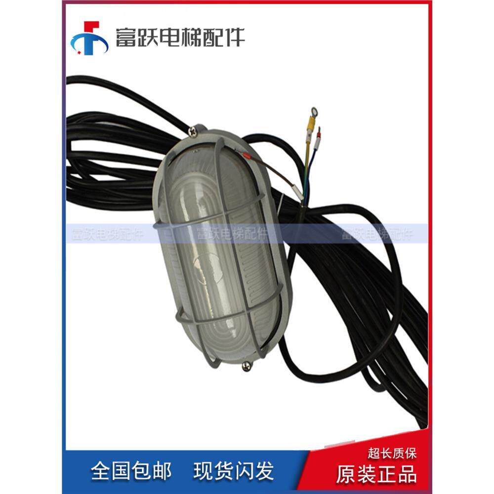 德凌电梯井道灯RKL220/60D壁灯照明灯电梯配件全新正品