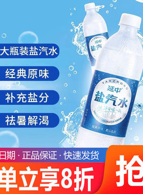 延中盐汽水600ml*20瓶