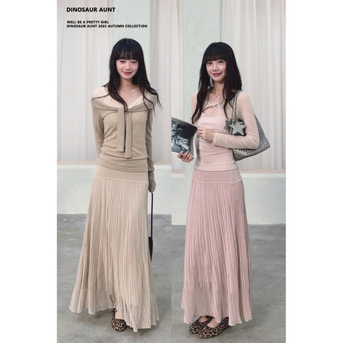DINOSAUR AUNT恐龙阿姨粉色半身裙女2025新款高腰显瘦垂感a字长裙