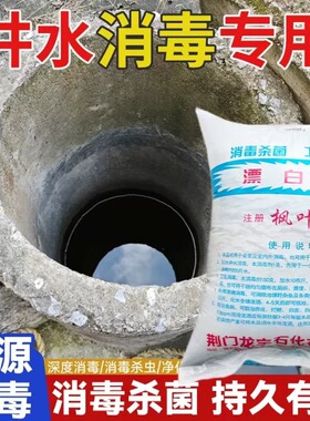 地下水井净水消毒药片家用户外饮用水食用漂白粉消毒片杀菌净化剂