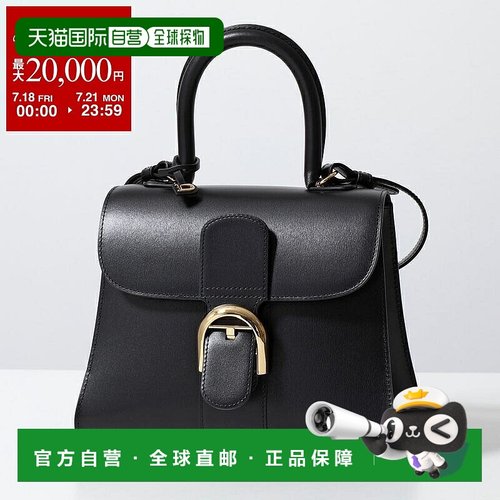 日本直邮DELVAUX 手提包 Brillant PM AA0569AAM099ZDO 女士皮革