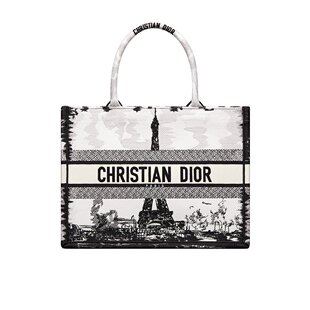 Dior 中号Book Tote手提包 M1296ZEGG