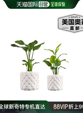 jonathan ySyrie 现代波西米亚室内海浪环保 3D 印花花盆带排水 -