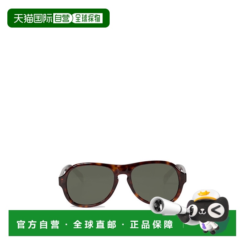 香港直邮CELINE 男士太阳镜 4S298CPLB19TR AW2024 棕色