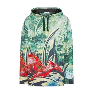 Valentino 印花连帽卫衣 TV0MF11V67N