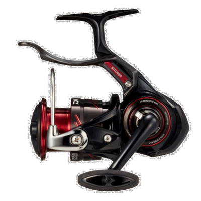 日本直邮大和卷轴 '23 Cygnus 2500H-LBD