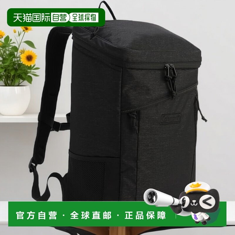 【日本直邮】Coleman 20L 方形背包 男女通用 通勤轻量,运动包/户外包/配件,双肩包,淘宝优惠券,粉丝福利购,淘宝优惠卷