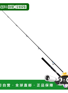 日本直邮Daiwa 24寸 Saltiga Breakthrough C88-6/8 抛竿 [6 大号