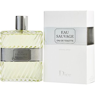 清新之 克里斯汀迪奥 Christian Dior