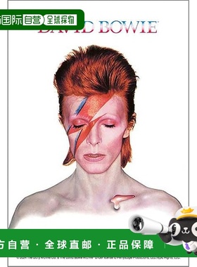 【日本直邮】大卫 鲍伊 Aladdin Sane 专辑 120片迷你拼图 日本制