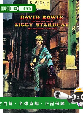 【日本直邮】大卫 鲍伊 Ziggy Stardust 专辑 120片迷你拼图 日本