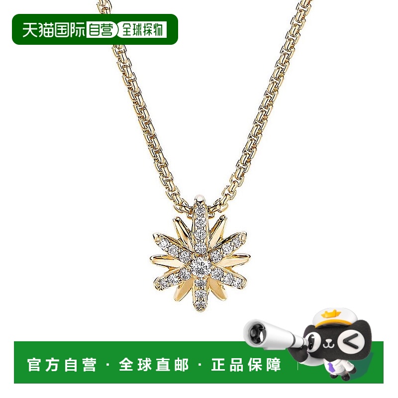 1h可退 【美国直邮】david yurman 通用 项链