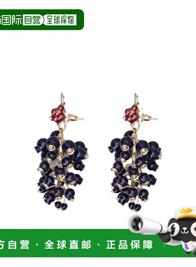 香港直邮Roger Vivier 缀饰耳环 REWOR730100AGK