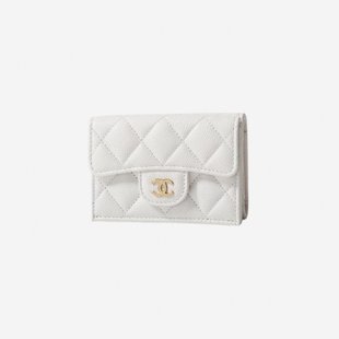 钱包 chanel 通用