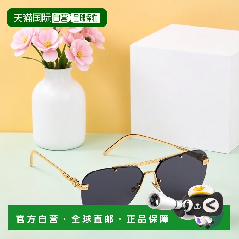 欧洲直邮louis vuitton/路易威登 男士 太阳镜眼镜