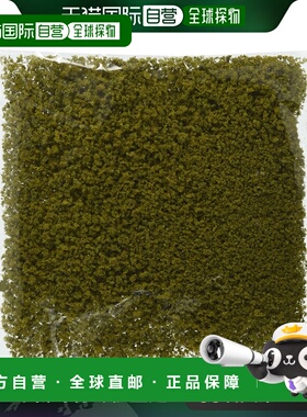 【日本直邮】TEOMYTECH TOMIX 福里奇 浅绿色混合 8164 迪奥拉马