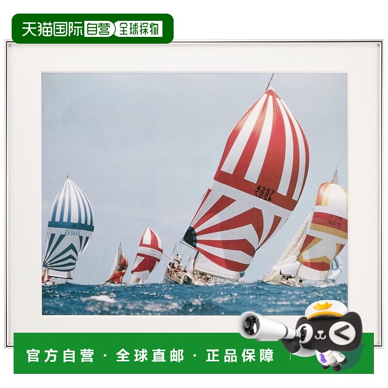 【日本直邮】Fujicolor富士胶片 亚克力相框511 x 418mm 300820