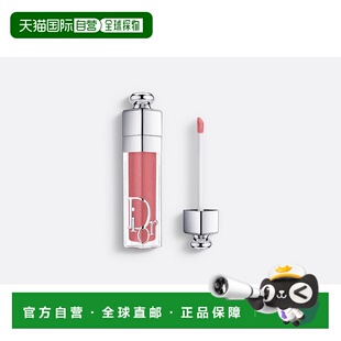 香港直邮Dior迪奥诱惑丰盈水润唇彩 6ml #012 ROSEWOOD正品