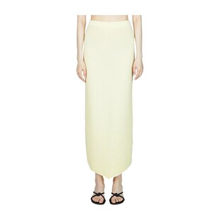 半身裙 女士 bottega veneta