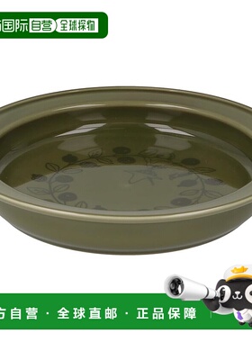 【日本直邮】MOOMIN 咖喱盘 21cm L 易舀通用型 Snufkin 苔绿色