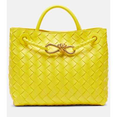 Bottega Veneta 葆蝶家 女士 Andiamo 小号皮革手提包