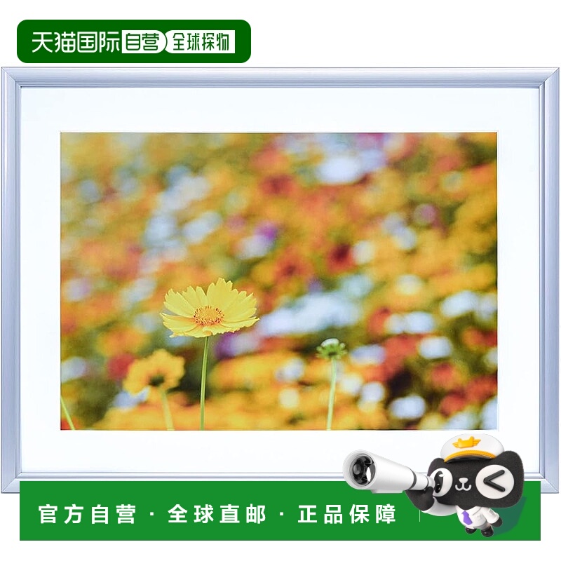 【日本直邮】Fujicolor富士胶片 A32相框 银色 306655