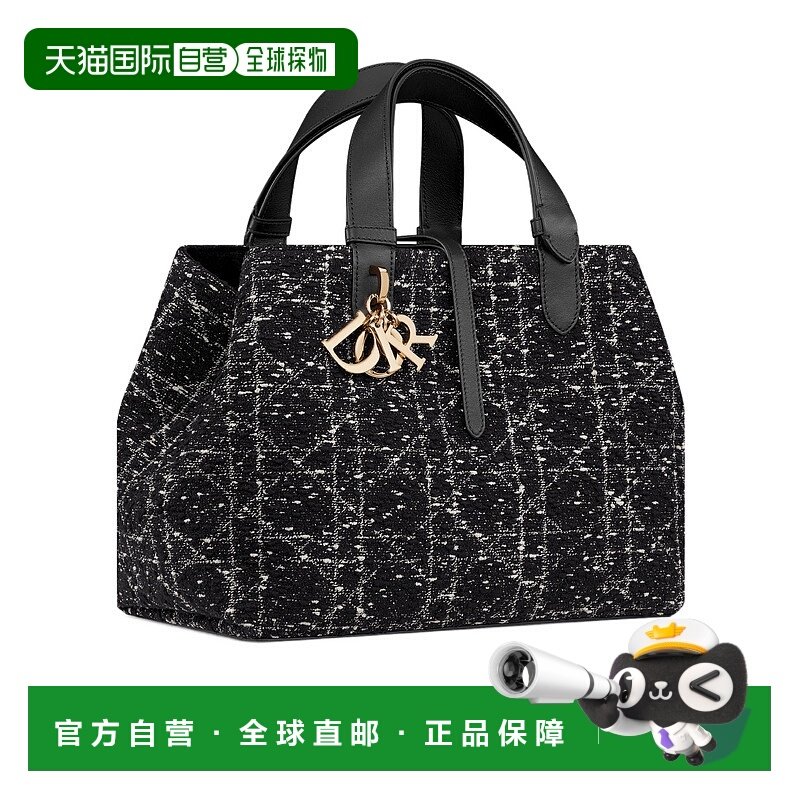 1h可退 香港直邮Dior 中号 Dior Toujours 手袋 M2821ODFG