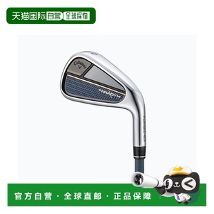 N.S.PRO 5支装 硬 neo 950GH 9PW 铁杆套装 Paradigm 日本直邮