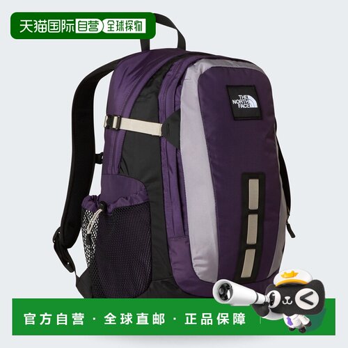 自营欧洲直邮The North Face北面 Hot Shot特别版双隔层背包男女