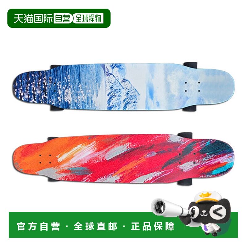 日本直邮SWELL Swell SKATE FISHBONE 鱼骨 22 英寸迷你巡洋舰巡