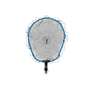 【日本直邮】Daiwa达亿瓦 着陆网 渔网 FL35 蓝 7760514