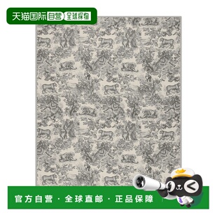 自营欧洲直邮Dior 迪奥 女士灰色羊绒围巾披肩配饰